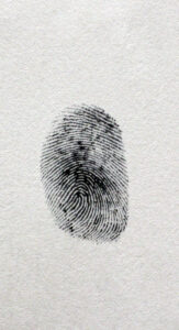 Agiter Investigazioni